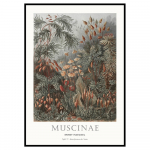 Plakat raamis 51x71 cm Tafel 72 - Malerifabrikken
