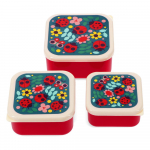 Laste toidukarp 3 tk Ladybird - Rex London