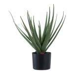 Kunsttaim (k&otilde;rgus 51 cm) Aloe Vera - House Nordic