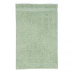 Roheline puuvillane froteer&auml;tik 70x120 cm Anti-Bacterial - Catherine Lansfield