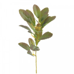 Kunstlik taim (k&otilde;rgus 37 cm) Lemon Tree - Ixia