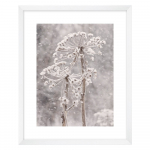 Maal 40x50 cm Snow