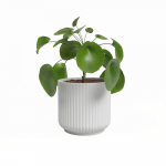 Keraamiline lillepott &oslash; 15 cm Luna - Artevasi