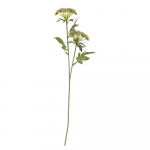 Kunsttaim (k&otilde;rgus 49 cm) Throatwort - Bloomingville