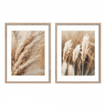 Maalid 2tk komplektis 30x40 cm Selloana - Styler
