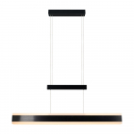 Matt must LED-rippvalgusti metallvarjuga Arcola - Trio