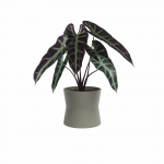 Keraamiline lillepott &oslash; 20 cm Diana - Artevasi