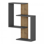 Antratsiitne seinariiuli osa Paranoid - Homitis