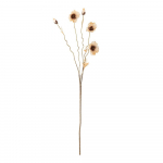 Kunstlill (k&otilde;rgus 104 cm) Poppy - Bloomingville