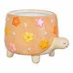 Kivipott &oslash; 9 cm Tortoise - Sass & Belle