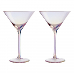 Kokteiliklaasid, 2 tk komplektis 250 ml Frosted - Premier Housewares