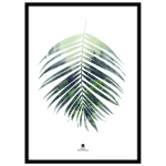 Plakat raamis 50x70 cm Palm Leaf - Malerifabrikken
