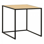Rotangist abilaud 44x44 cm Depok - Premier Housewares