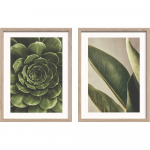 Tr&uuml;kitud pildid 2 tk komplektis koos raamiga 30x40 cm Beauty Green - Styler