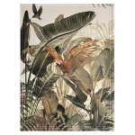 Seinakell Parrot - Styler