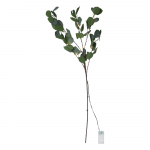 Roheline LED valgusdekoratsioon, pikkus 90 cm Eucalyptus - Star Trading