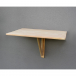 M&auml;nnipuidust seinalaud 79x59 cm - Rojaplast