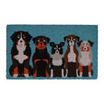 Kookoskiududest matt 45x75 cm - Esschert Design
