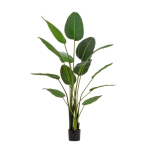 Kunsttaim, 185 cm Sterilizia &ndash; Bizzotto