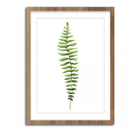 Plakat 30x40 cm Greenery - Styler