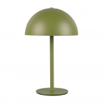 Roheline LED-laualamp metallvarjuga (k&otilde;rgus 21 cm) Munoz - Reality