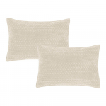 Padjakatted 2tk komplektis 50x75 cm Attica Velvet Embroidered - Bianca