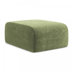 Roheline &scaron;enillist jalatugi Lani - Makamii