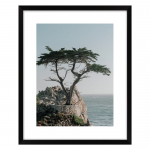 Plakat 40x50 cm View