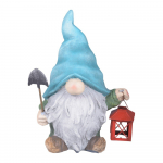 Kivist aiakuju Dwarf - Garden Pleasure