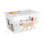 Valge kaanega hoiukarp 55x39x31 cm C Box Style - KIS