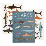 Laste tatoveeringud Sharks &ndash; Rex London