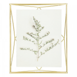 Kuldne metallist seinaraam 25x30 cm Prisma - Umbra