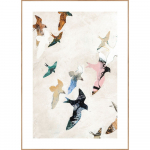 Maal 30x40 cm Abstract Birds - Malerifabrikken