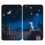 Karastatud klaasist pliidikatte komplekt 2 tk 30x52 cm - Maximex