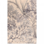 M&uuml;ndiv&auml;rvi-beež villane vaip 200x300 cm V&A Calisia Kelp - Agnella