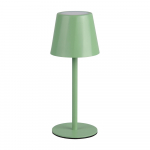 Roheline LED laualamp metallvarjuga (k&otilde;rgus 21 cm) Diaz - Reality