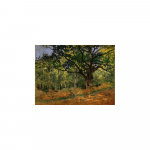 Maali reproduktsioon , 70 x 50 cm Claude Monet - The Bodmer Oak, Fontainebleau Forest - Fedkolor