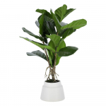 Kunstlik viigipuu, k&otilde;rgus 60 cm Lyrata &ndash; Kave Home