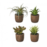 Kunsttaimed 4 tk komplektis (k&otilde;rgus 10 cm) Cactus &ndash; Casa Selecci&oacute;n