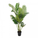 Kunstpalm (k&otilde;rgus 175 cm) Areca &ndash; House Nordic