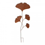 Metall aiavai Ginkgo &ndash; Garden Pleasure