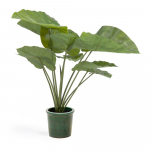 Kunsttaim (k&otilde;rgus 57 cm) Odora - Kave Home