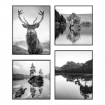 Maalid 4 tk komplektis 30x40 cm Wild
