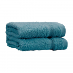 Sinakasrohelised froteer&auml;tikud 2tk komplektis 30x30 cm Zero Twist - Catherine Lansfield