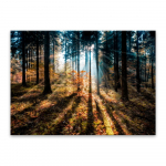 Maal Klaaspik , 70 x 100 cm Autumn Sunset - Styler