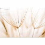 Klaasist maal 100x70 cm Fluff - Wallity