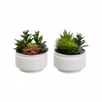 Kunsttaimed 2 tk (k&otilde;rgus 19 cm) Cactus - Casa Selecci&oacute;n