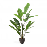 Kunstlik banaanipuu (k&otilde;rgus 210 cm) - Kave Home