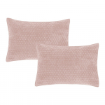 Padjakatted 2tk komplektis 50x75 cm Attica Velvet Embroidered - Bianca