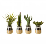Kunsttaimed 4 tk komplektis (k&otilde;rgus 18 cm) Cactus &ndash; Casa Selecci&oacute;n